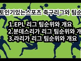 축구리그팀순위개요-안전놀이터천국-스포츠노하우